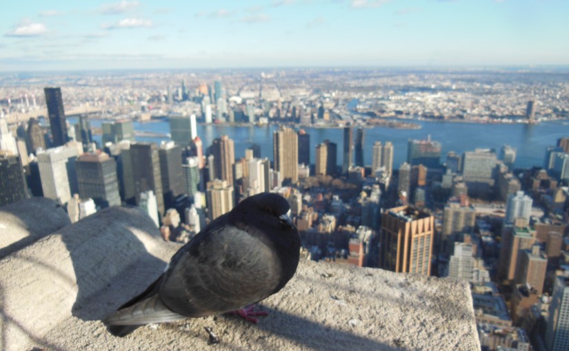 New York i&nbsp;desember